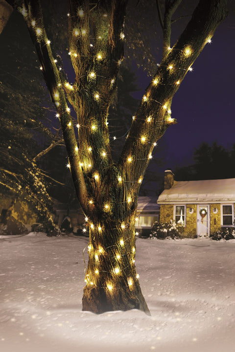 100 Battery Firefly String Lights