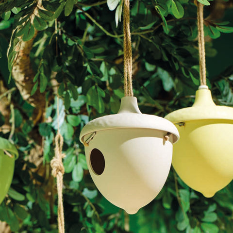 Bird House Bamboo - Multiple Colours