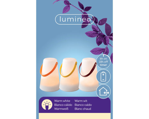 LED Lanterns - Indoor and outdoor