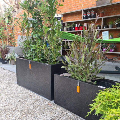 Single Planter Rectangle Lux Terrazo