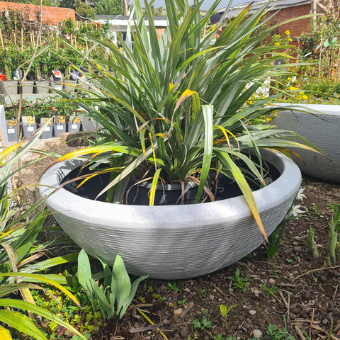 Bowl Low Arc 92x36 cm