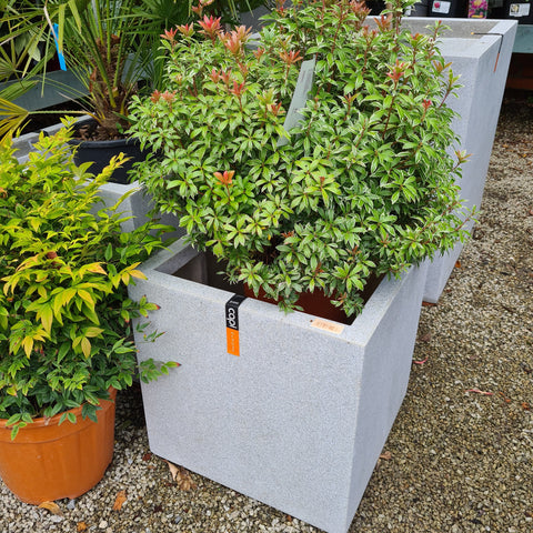 Single Planter Square Lux Terrazzo
