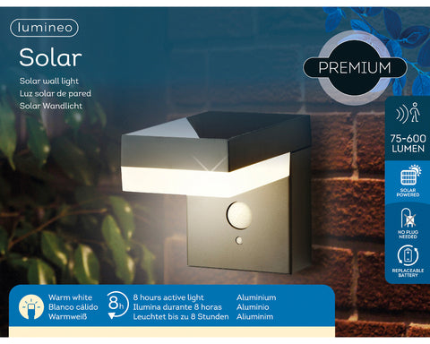 Solar Wall Light with PIR