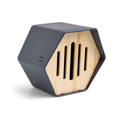 Butterfly Hotel Hive