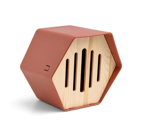 Butterfly Hotel Hive