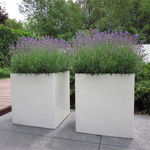 Carrez Rectangular Planter Fibreglass  - Multiple Options