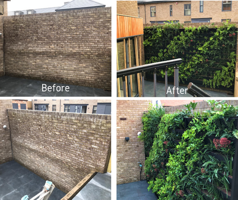 Living Wall System - Plant Box