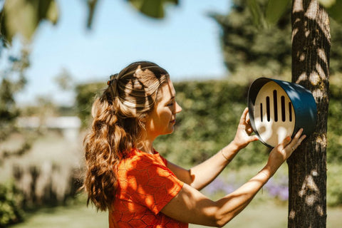 Butterfly Hotel Oval