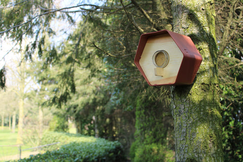 Peanut butter house Hive