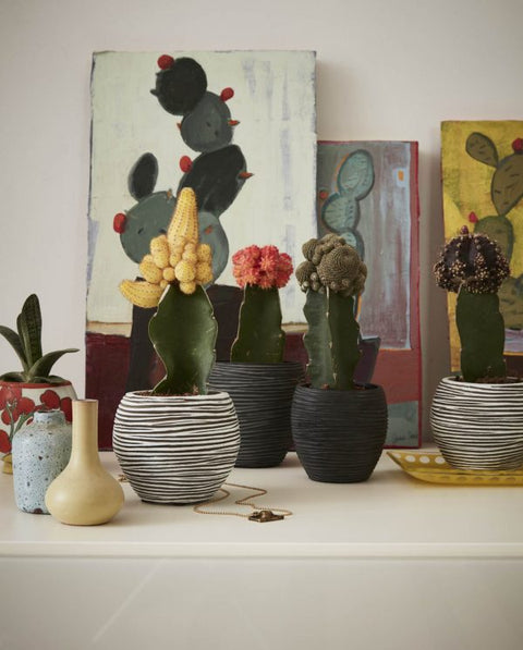 Vase Ball Rib Indoor Ivory - Multiple Sizes & Colours