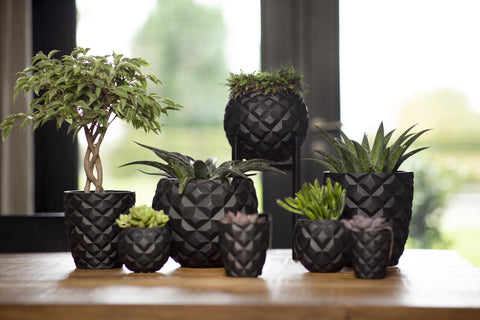 Heraldry Tapered Round Indoor - Multiple Colours & Sizes