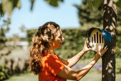 Butterfly Hotel Hive