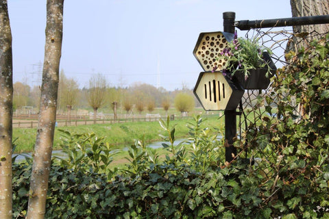 Butterfly Hotel Hive