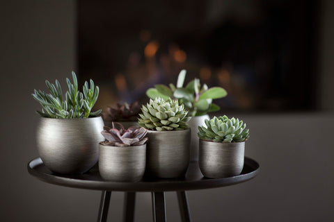 Planter Ball Retro Indoor Silver