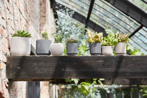 Vase Ball Groove Indoor - Multiple Colours & Sizes