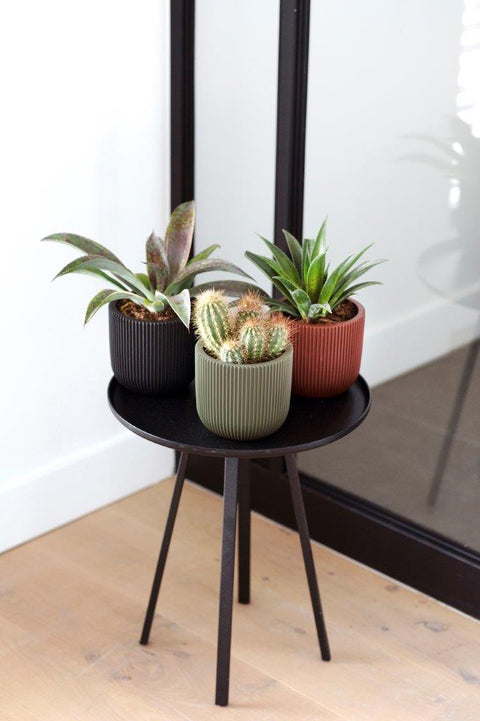 Planter Ball Groove Indoor - Multiple Colours & Sizes