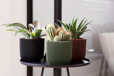 Planter Ball Groove Indoor - Multiple Colours & Sizes