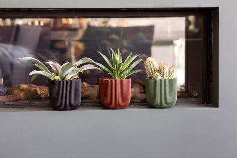 Planter Ball Groove Indoor - Multiple Colours & Sizes