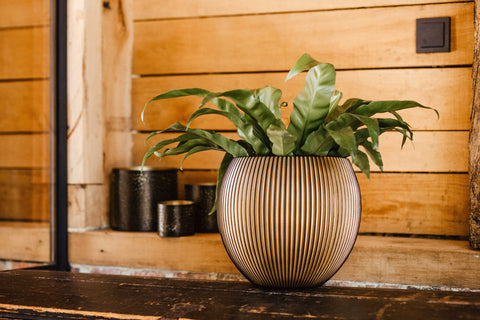 Vase Ball Groove Indoor - Multiple Colours & Sizes
