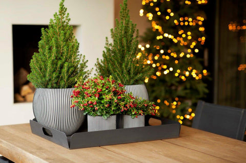 Vase Ball Groove Indoor - Multiple Colours & Sizes