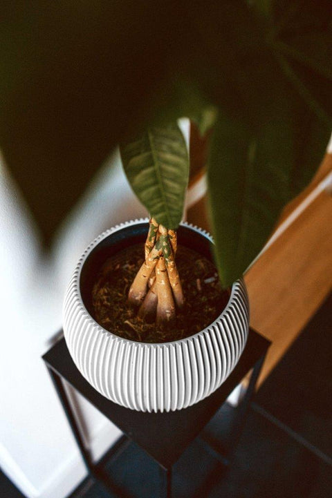 Vase Ball Groove Indoor - Multiple Colours & Sizes