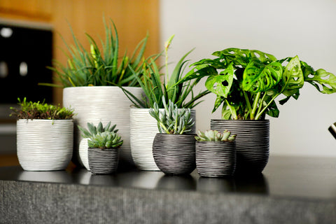 Vase Ball Rib Indoor Ivory - Multiple Sizes & Colours