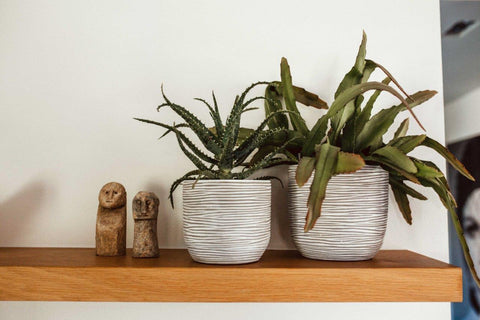 Planter Ball Rib Indoor Ivory - Multiple Sizes