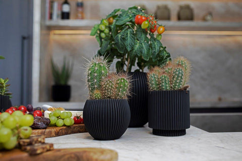 Indoor Plant Pots - 3 for 2