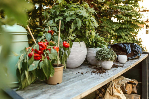 Vase Ball Rib Indoor Ivory - Multiple Sizes & Colours