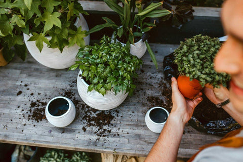 Vase Ball Rib Indoor Ivory - Multiple Sizes & Colours