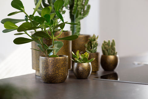 Vase Cylinder Terrazzo Gold Indoor - Multiple Sizes