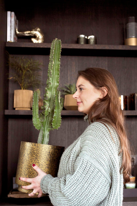 Vase Cylinder Terrazzo Gold Indoor - Multiple Sizes