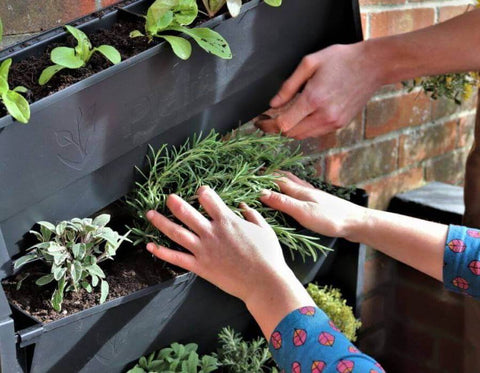 Living Wall System - Plant Box