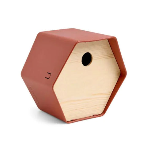 Bird House 1 Hive