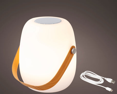 LED Speaker Outdoor - Warm White