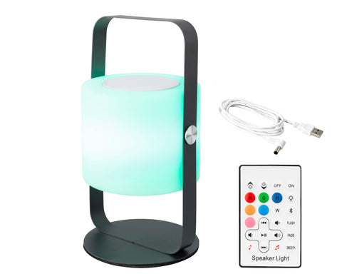 LED Speaker Outdoor - Colour Changing Effects