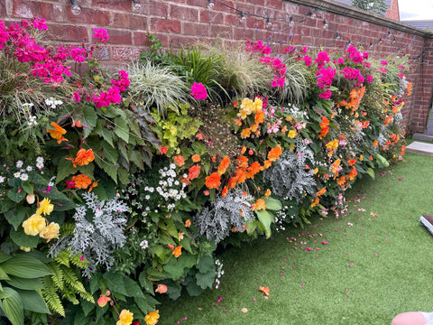 20% OFF Plantbox Living Wall System