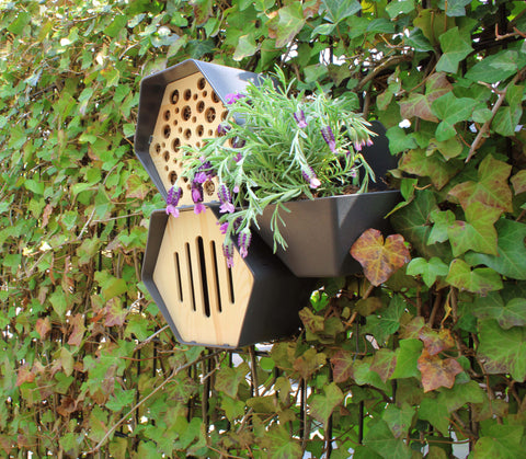 Planter Hive